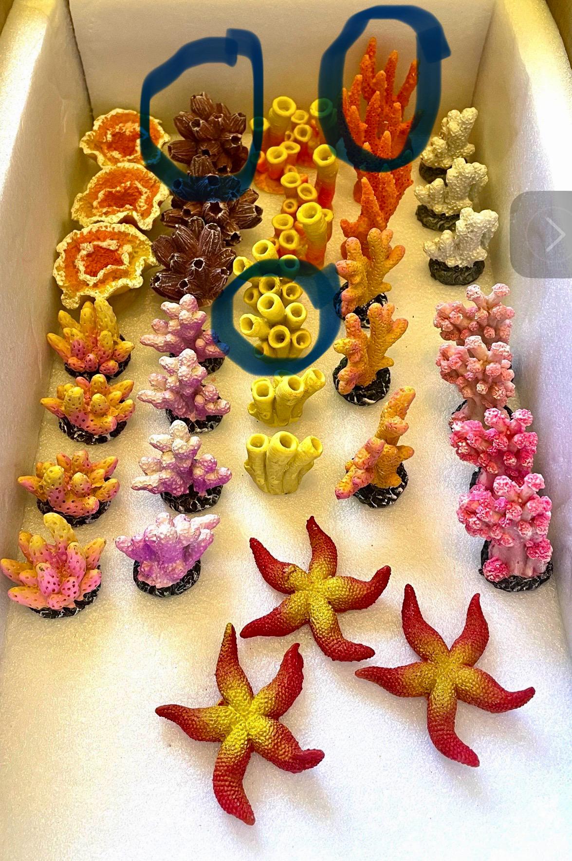 8 Pieces of Coral