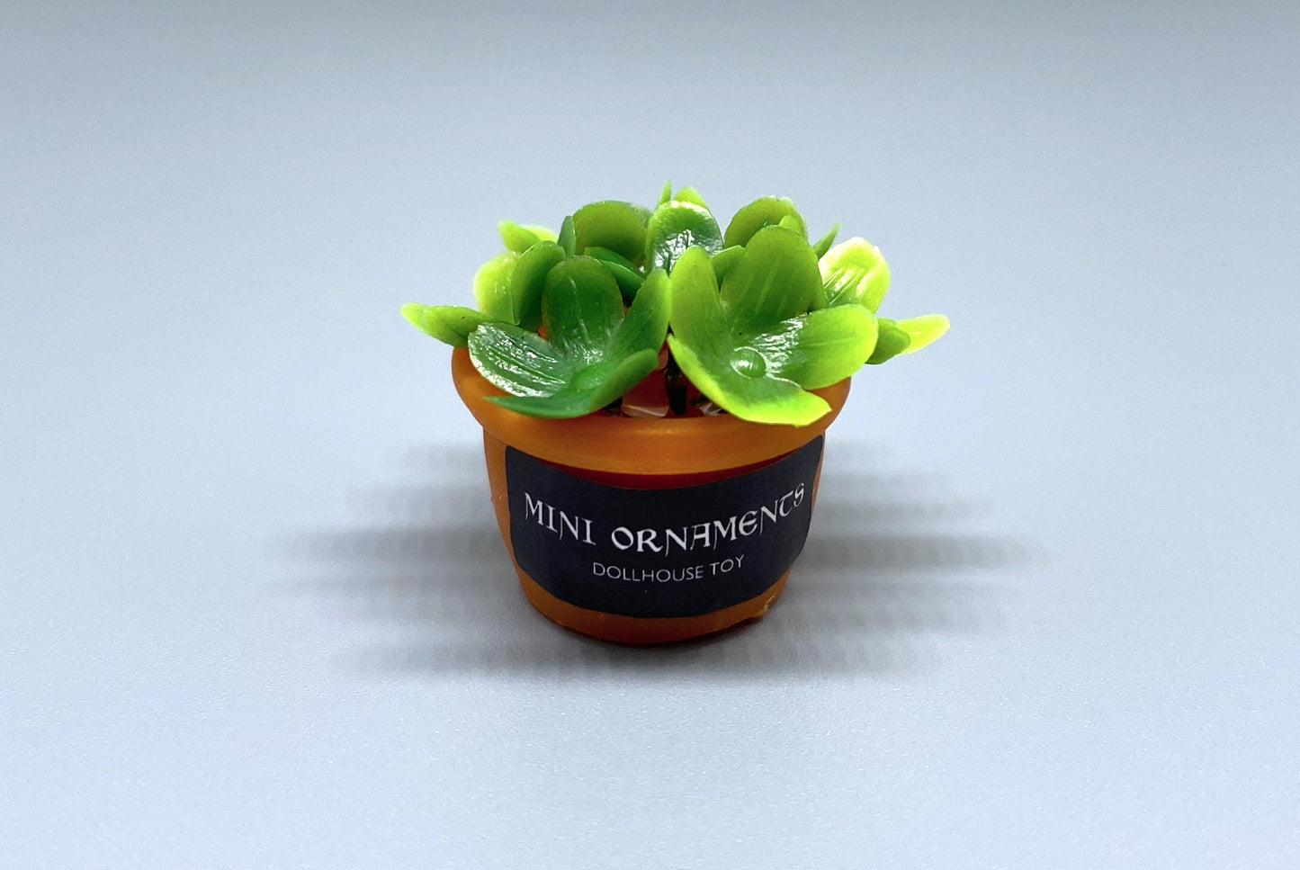 Miniature Plants in Ceramic Pots. Cute Green Flowers and Leaves. Dollhouse Accessories 1:12 Scale