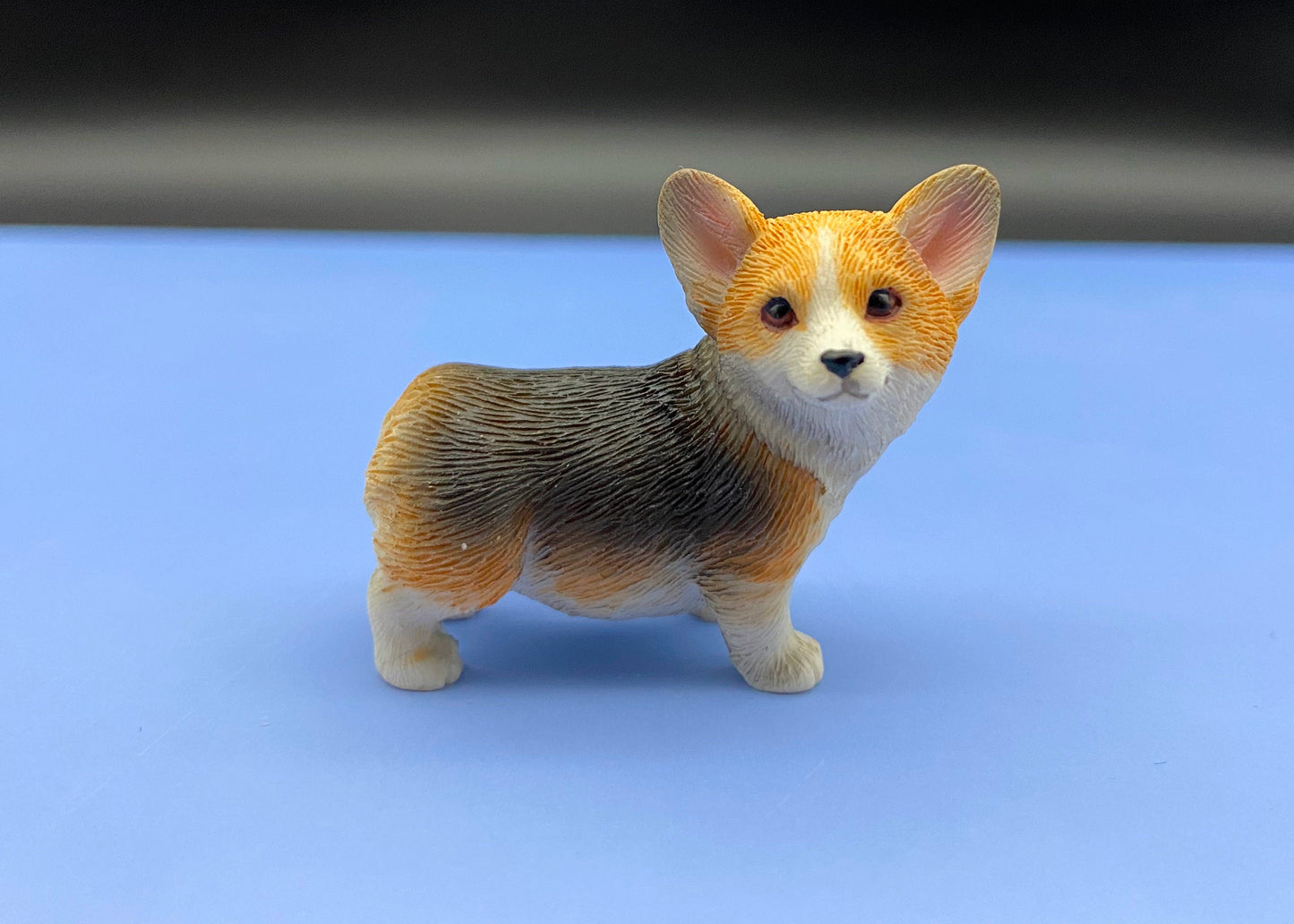 Miniature 1:12 Scale Corgis. Tri-colored Corgi Dog. Puppy Model