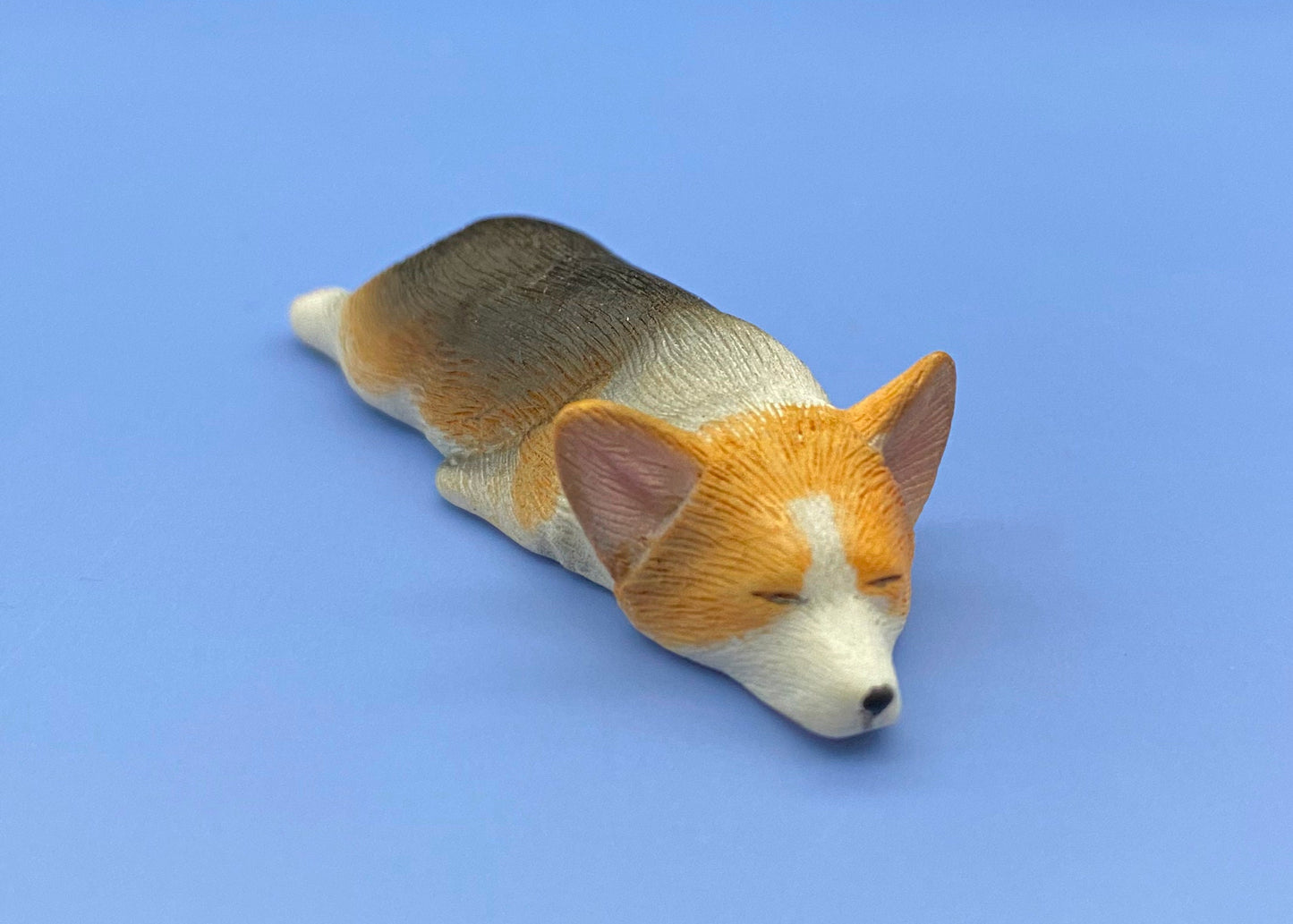 Miniature 1:12 Scale Corgis. Tri-colored Corgi Dog. Puppy Model