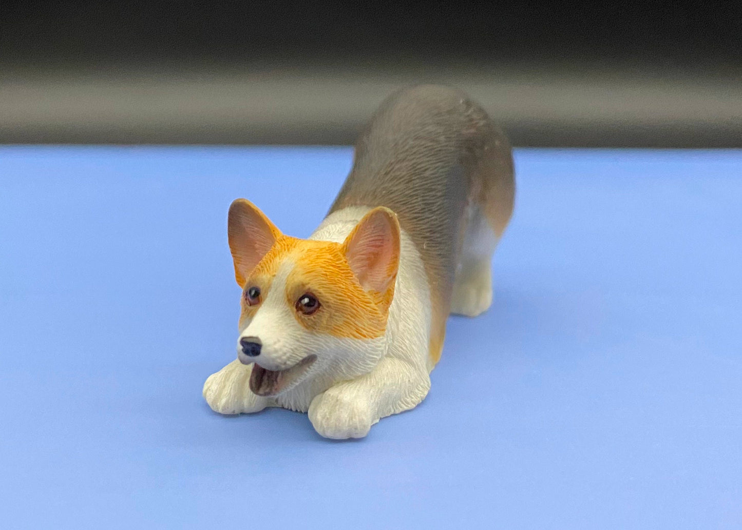 Miniature 1:12 Scale Corgis. Tri-colored Corgi Dog. Puppy Model