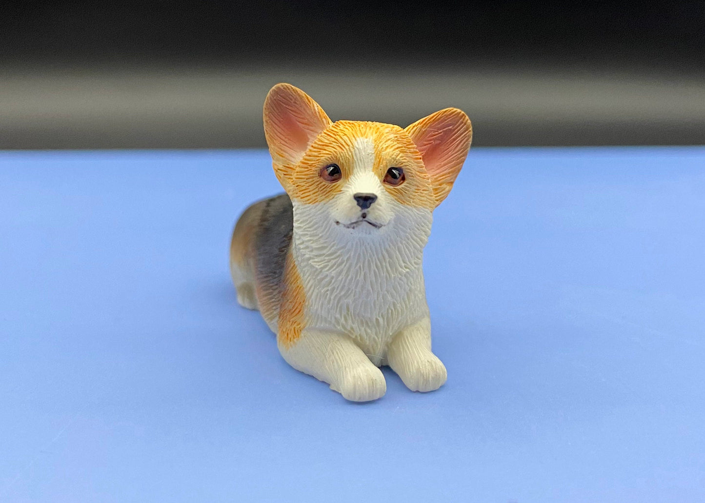 Miniature 1:12 Scale Corgis. Tri-colored Corgi Dog. Puppy Model