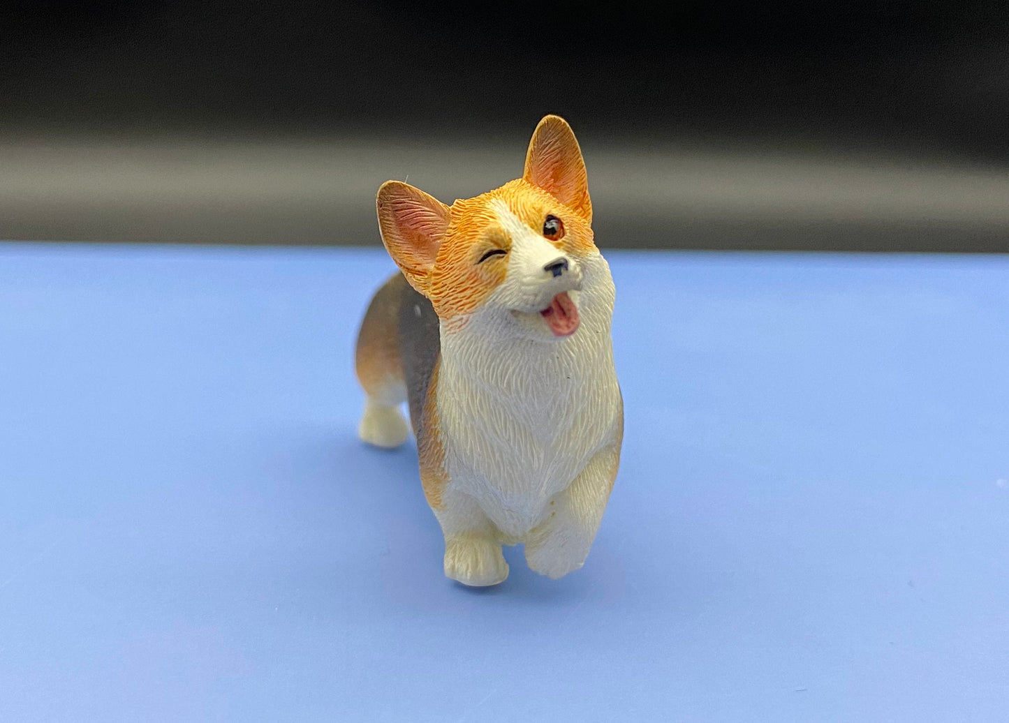 Miniature 1:12 Scale Corgis. Tri-colored Corgi Dog. Puppy Model
