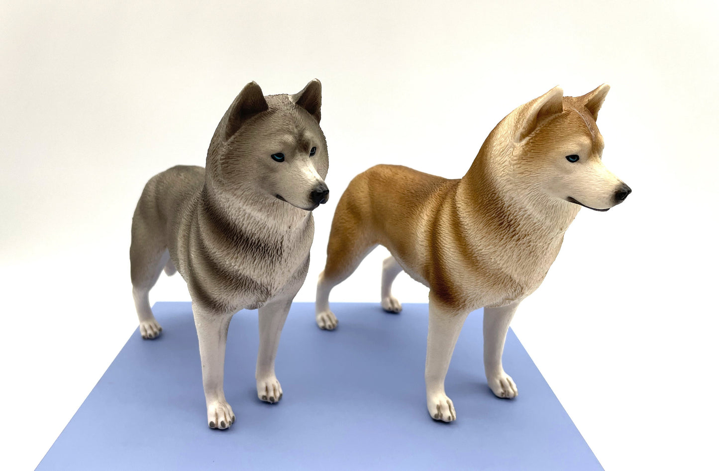 Miniature Alaskan Husky Dogs. Alaskan Malamute. Statue Toy Models