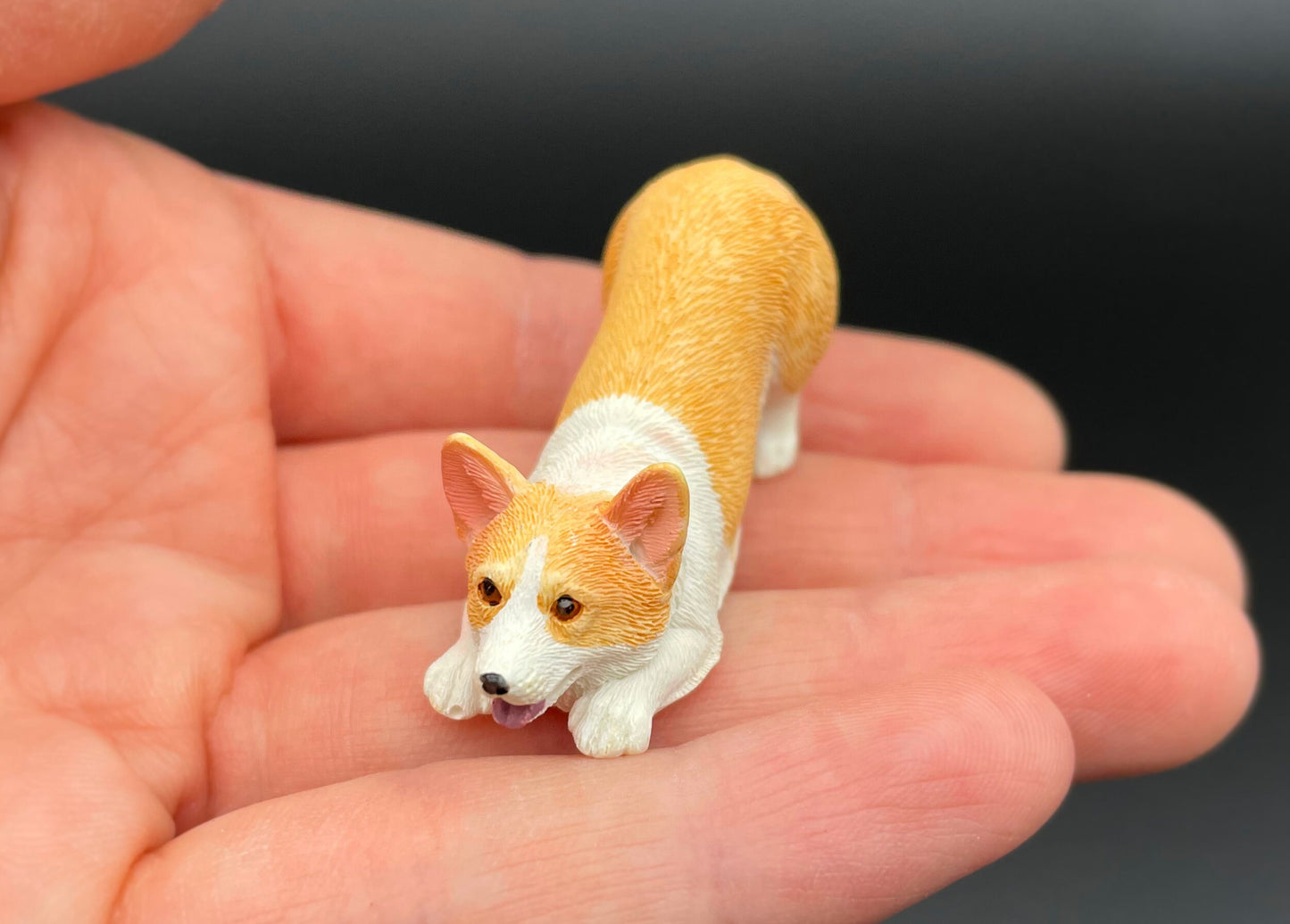 Miniature Corgis. 'Orange' / Red and White Corgi Dog. Puppy 1:12 Scale Model
