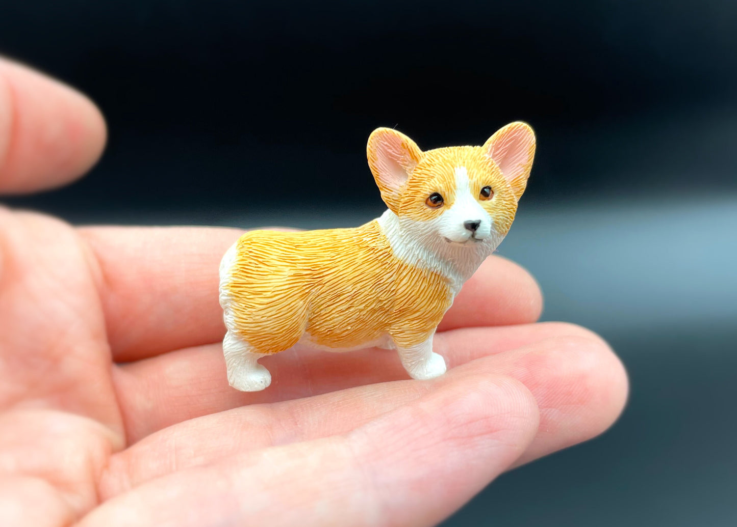 Miniature Corgis. 'Orange' / Red and White Corgi Dog. Puppy 1:12 Scale Model