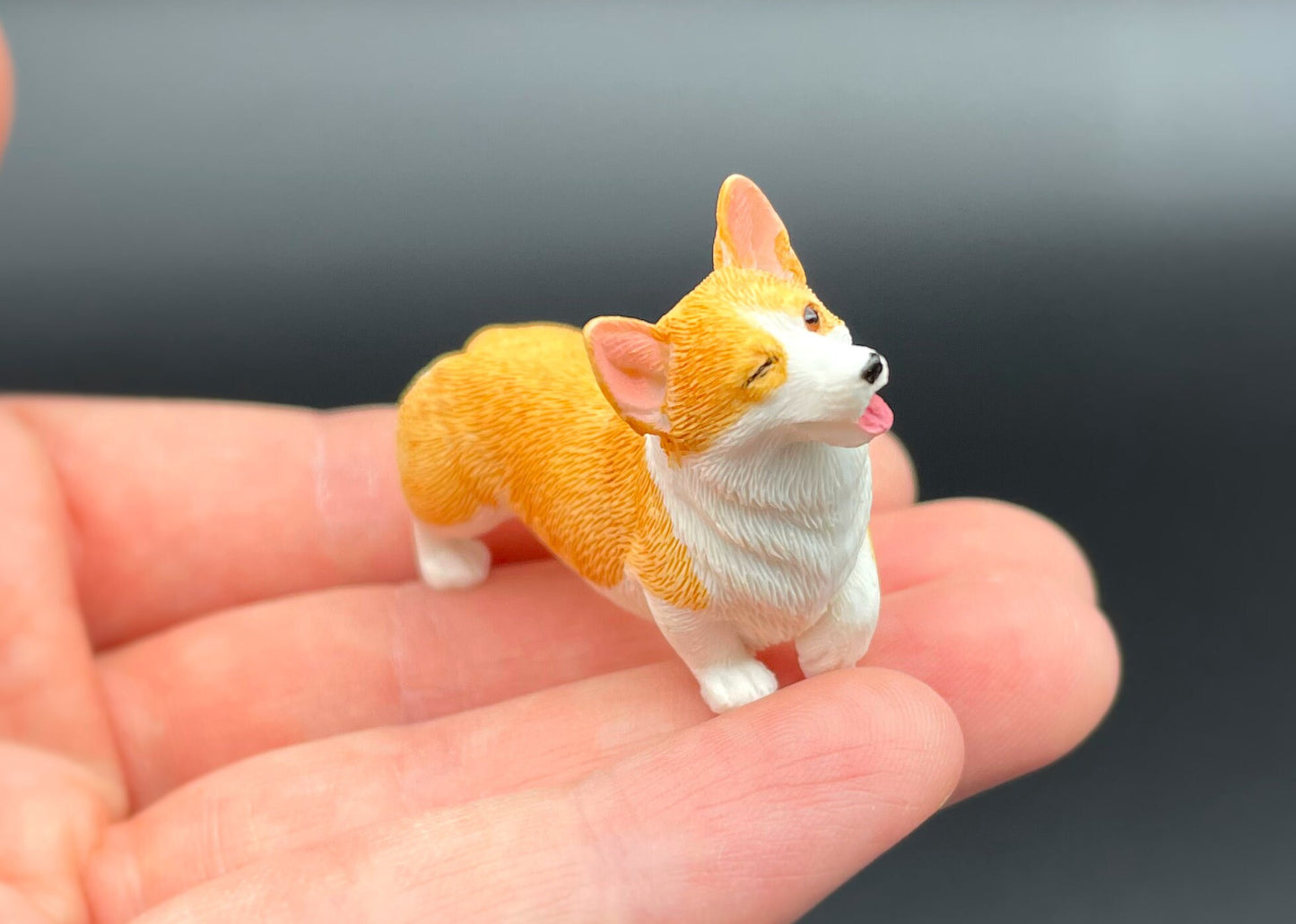 Miniature Corgis. 'Orange' / Red and White Corgi Dog. Puppy 1:12 Scale Model