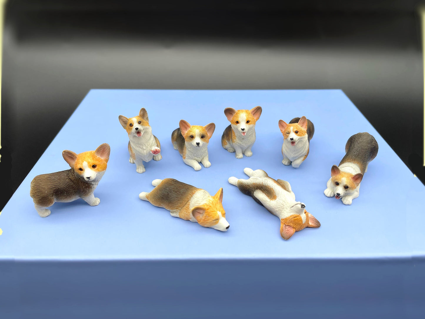 Miniature 1:12 Scale Corgis. Tri-colored Corgi Dog. Puppy Model