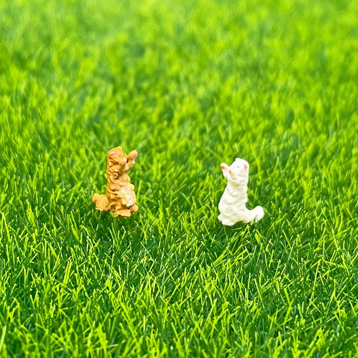 Miniature White and Brown Cats Animal Figures 1:64 Scale