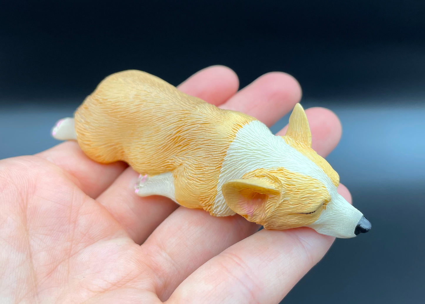 Miniature Corgi Dog Magnet Colors Set 1:6 Scale Detail