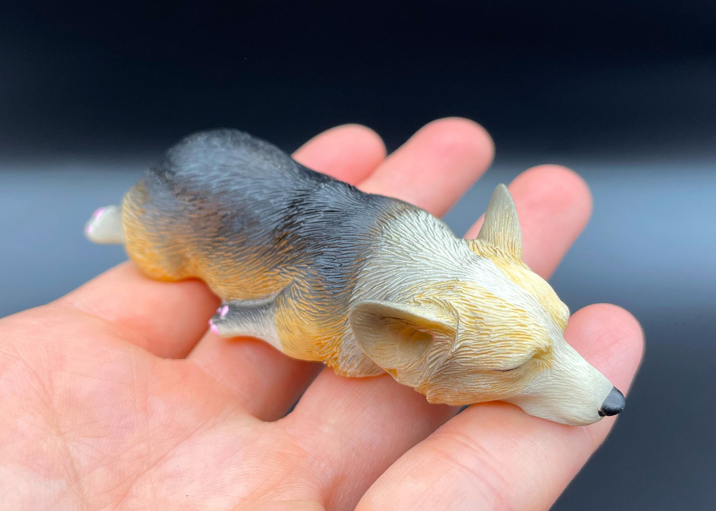 Miniature Sleeping Corgi Magnet 1:6 Scale Front View