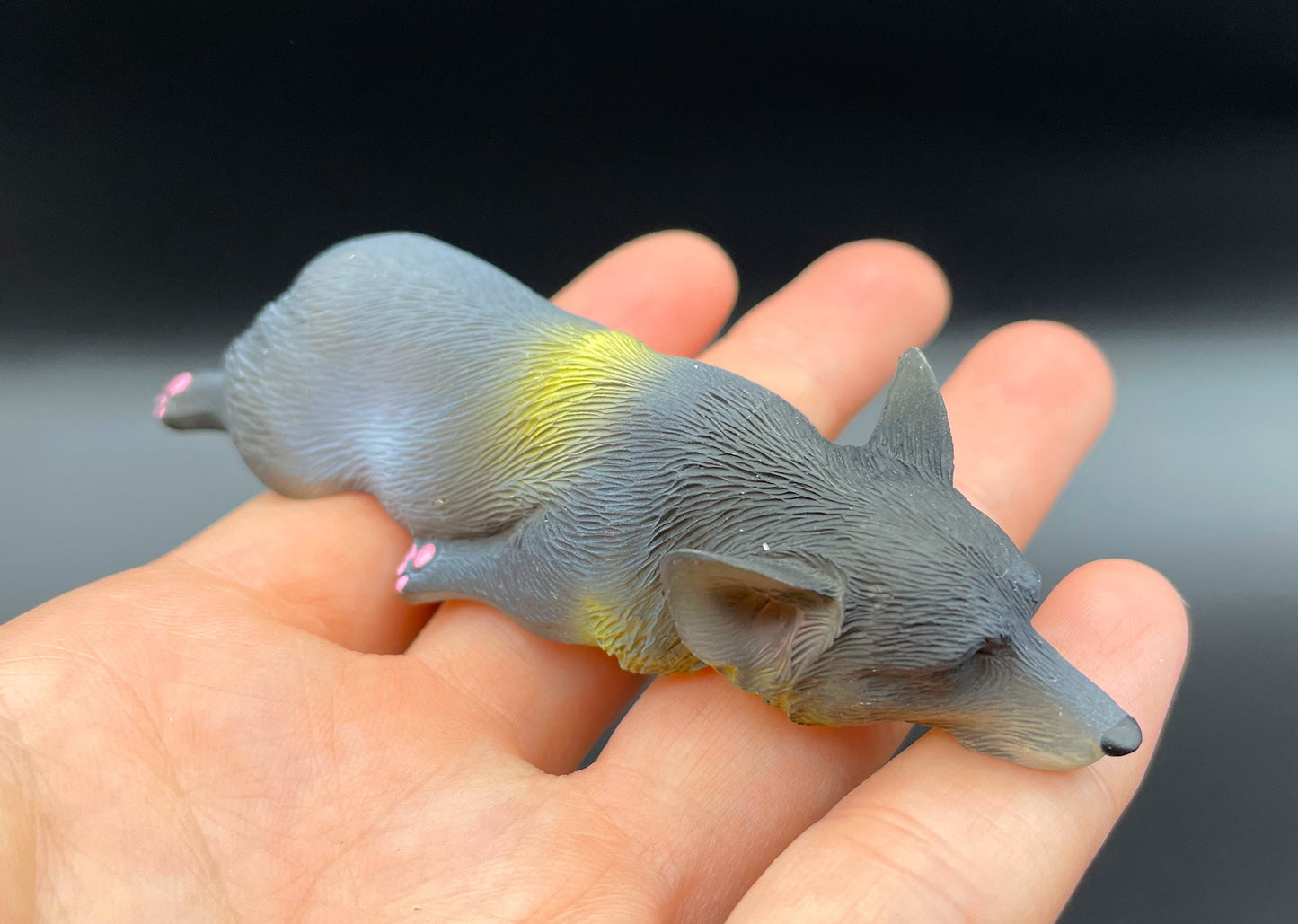Miniature Corgi Puppy Sleeping Magnet 1:6 Scale Side View