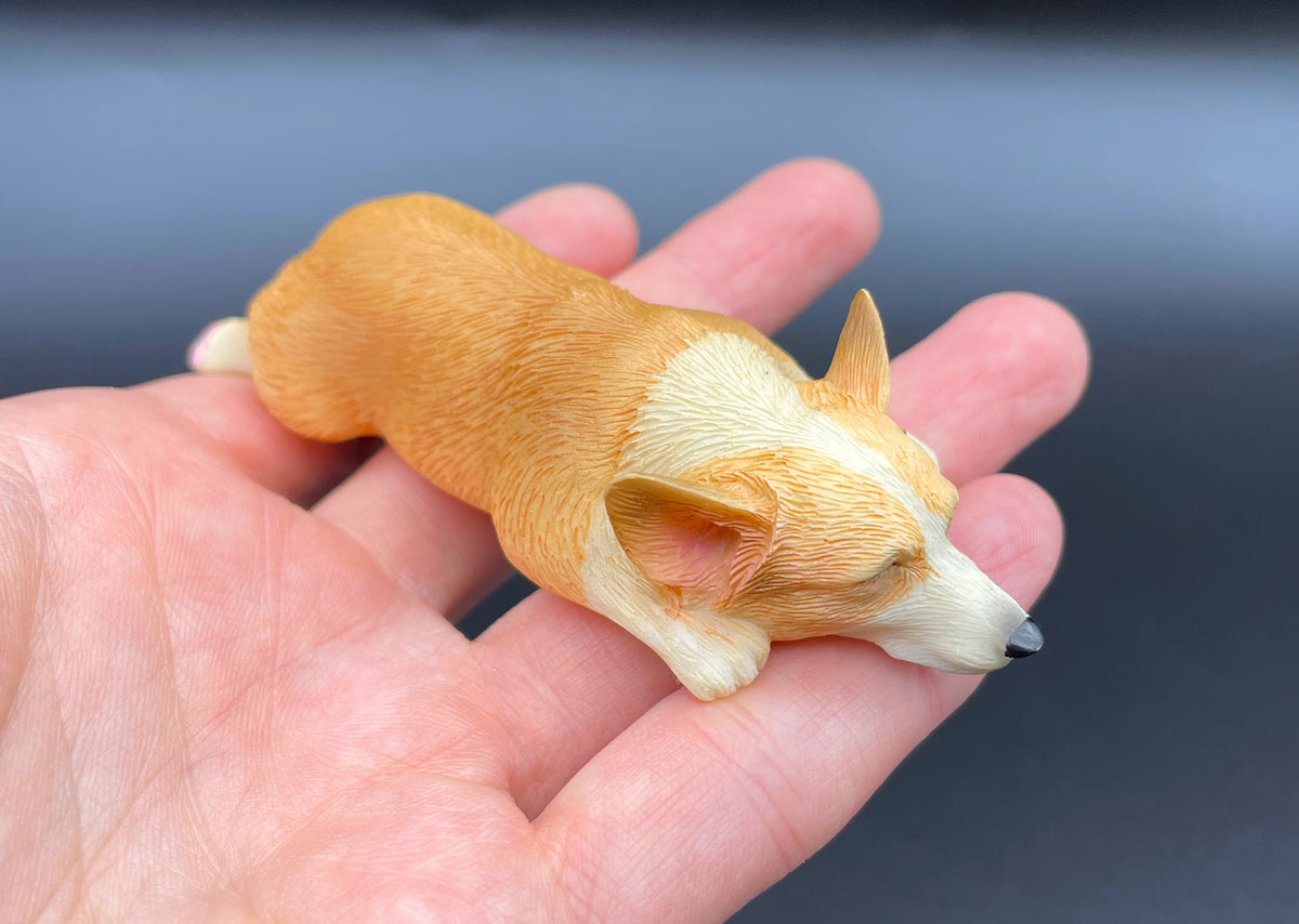Miniature Corgi Puppy Sleeping Magnet 1:6 Scale Front View