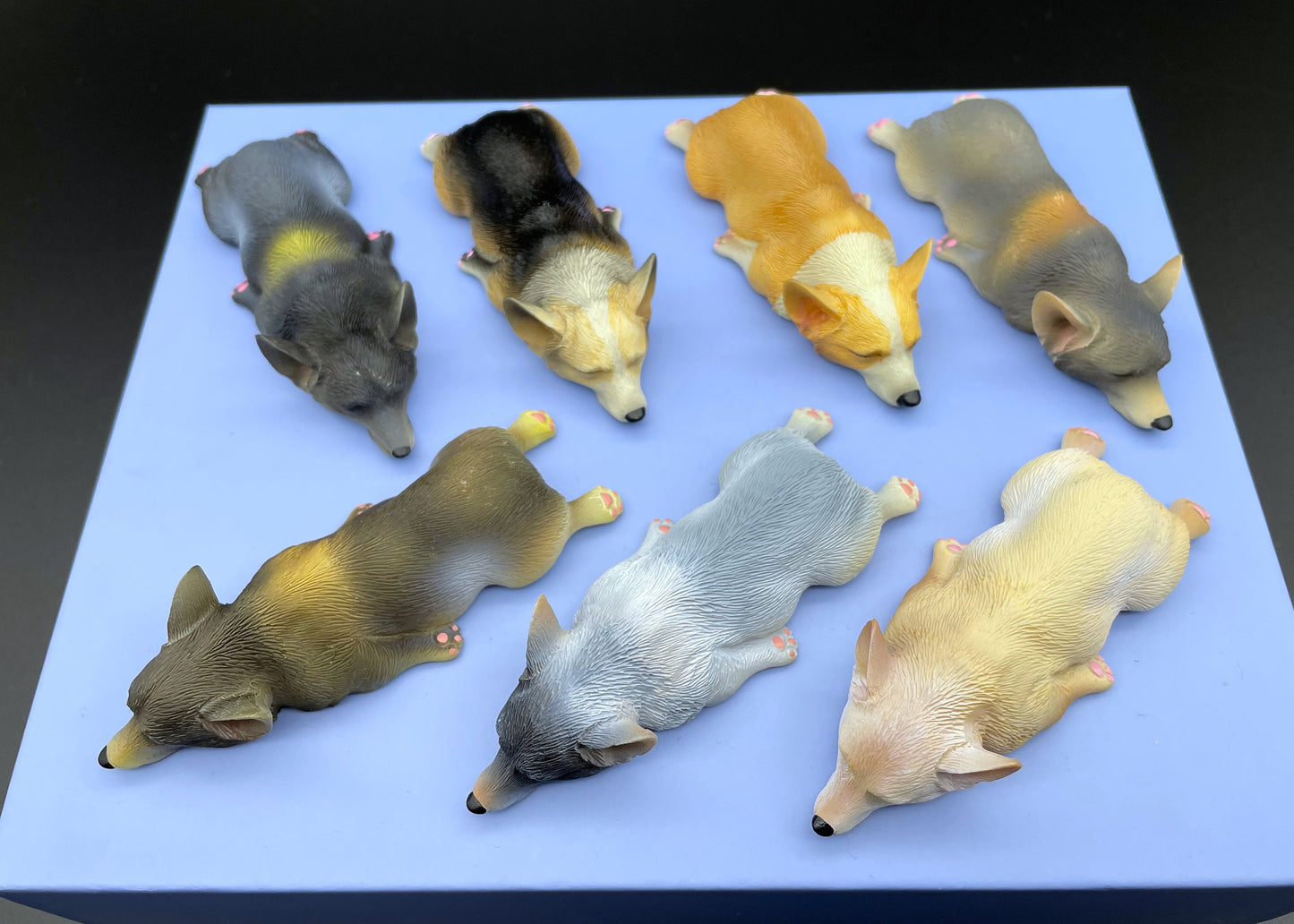 Sleeping Corgi Puppy Dog Magnets Many Colors Miniature 1:6 Scale