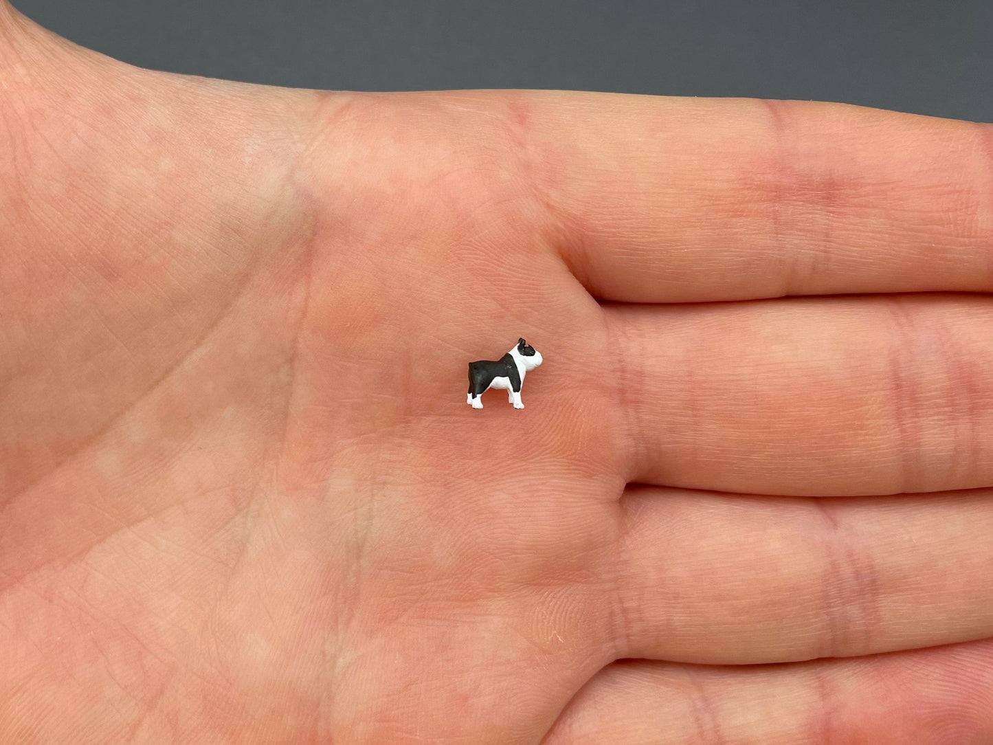 Miniature Pit Bull Dog Models 1:64 Scale Detail View