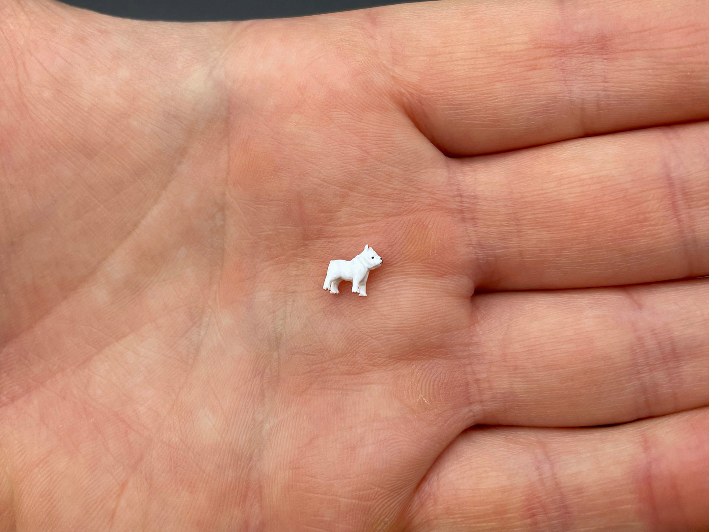 Miniature Pit Bull Dog Figure 1:64 Scale Side View Model