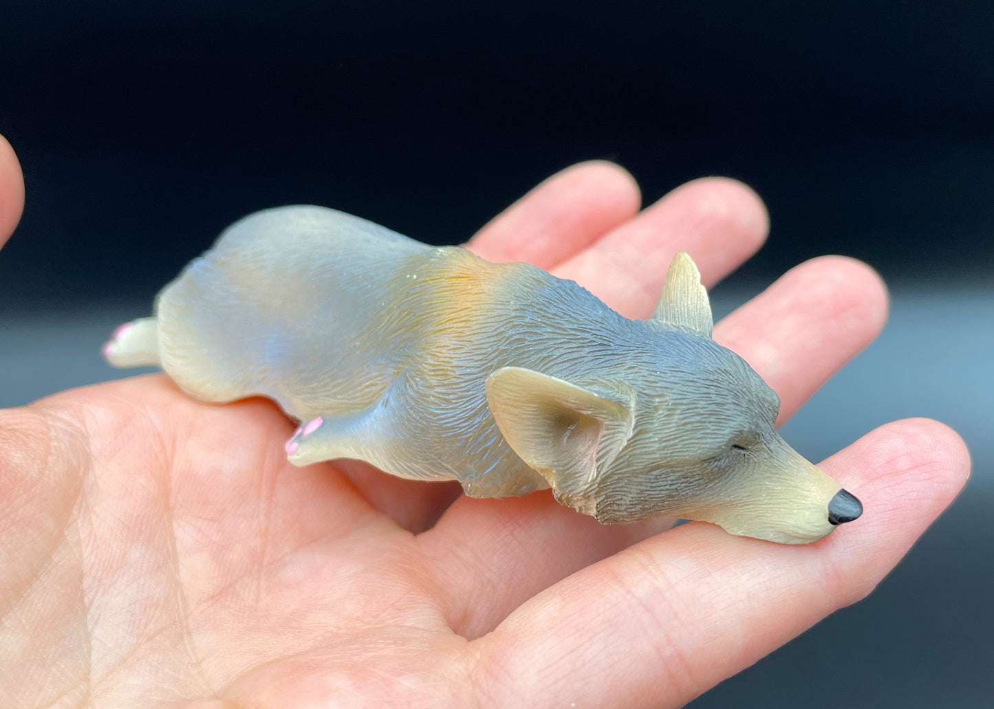 Miniature Corgi Sleeping Dog Magnet 1:6 Scale Blue Color
