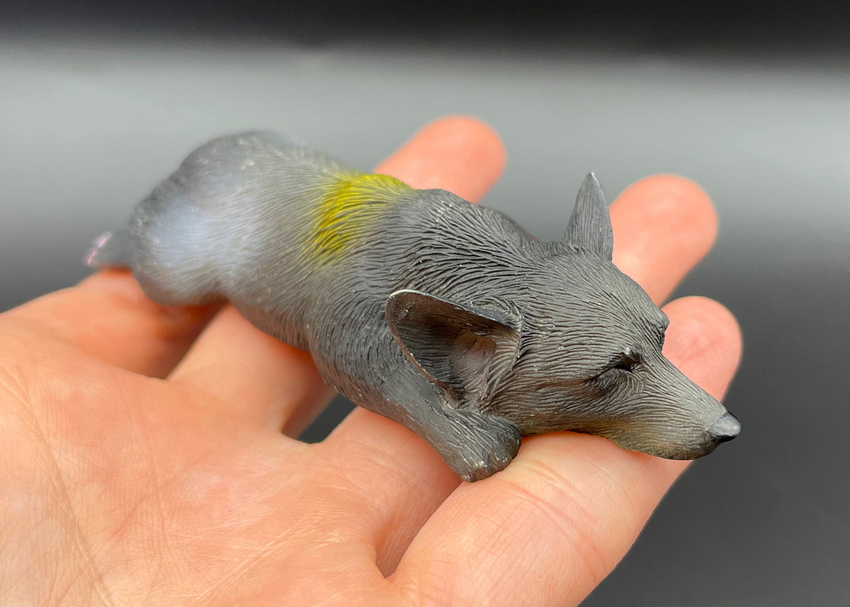 Miniature Sleeping Corgi Dog Magnet 1:6 Scale Side View