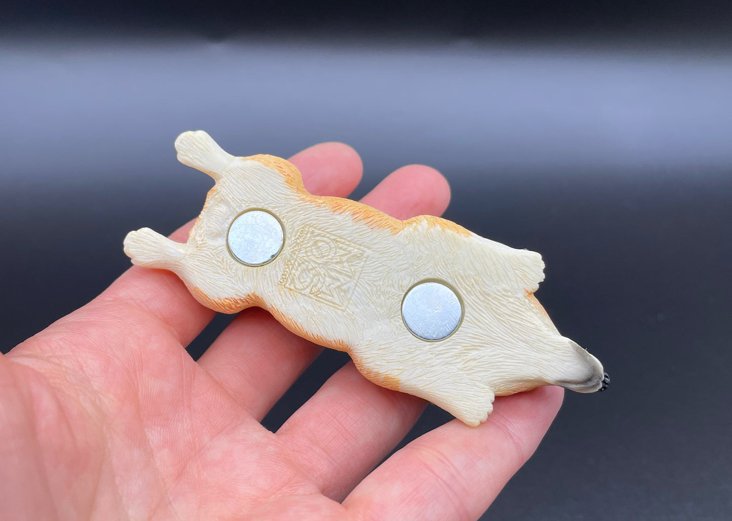 Sleeping Corgi Puppy Dog Magnets. Miniature 1:6 Scale