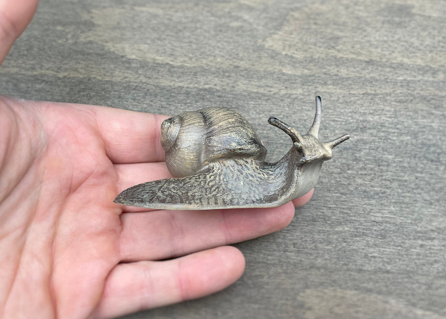 Burgundy Snail Realistic Model Lifelike Size Detail