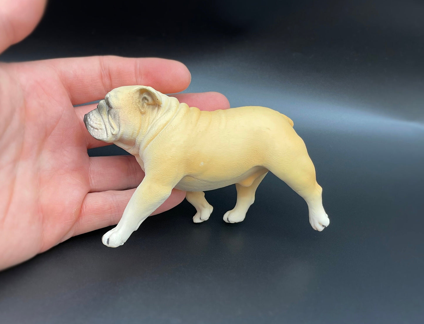 Miniature English Bulldog Walking Models 1:6 Scale Dog Figures