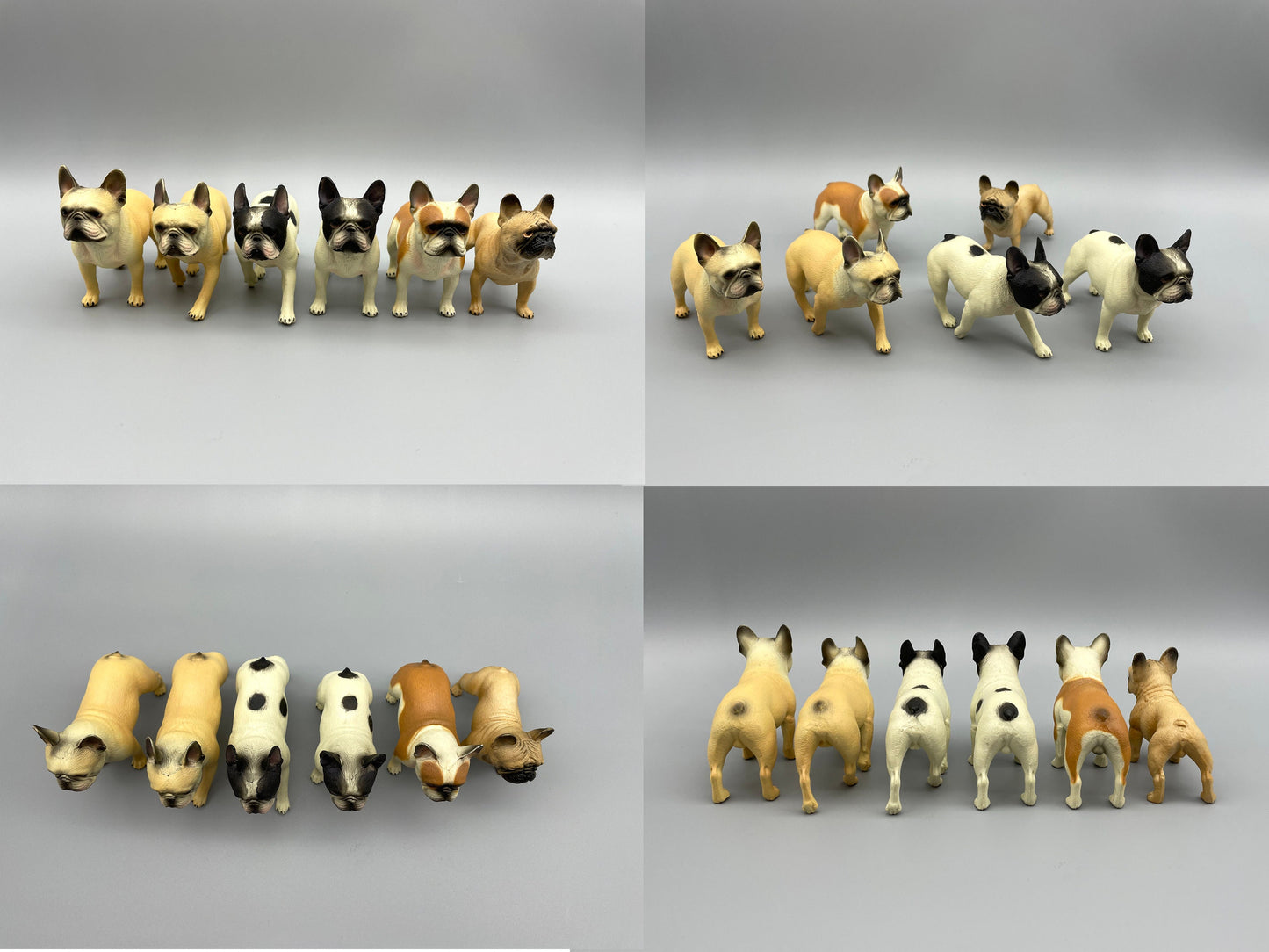 French Bulldogs. Realistic Miniature 1:6 Scale Models