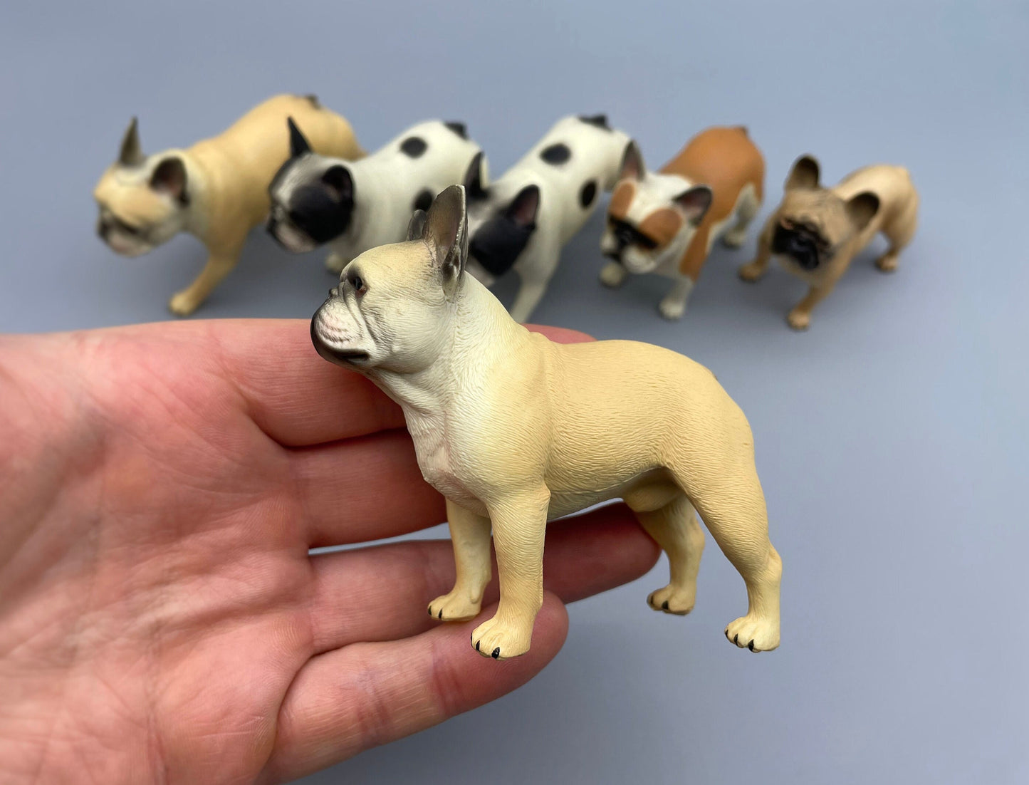 French Bulldogs. Realistic Miniature 1:6 Scale Models