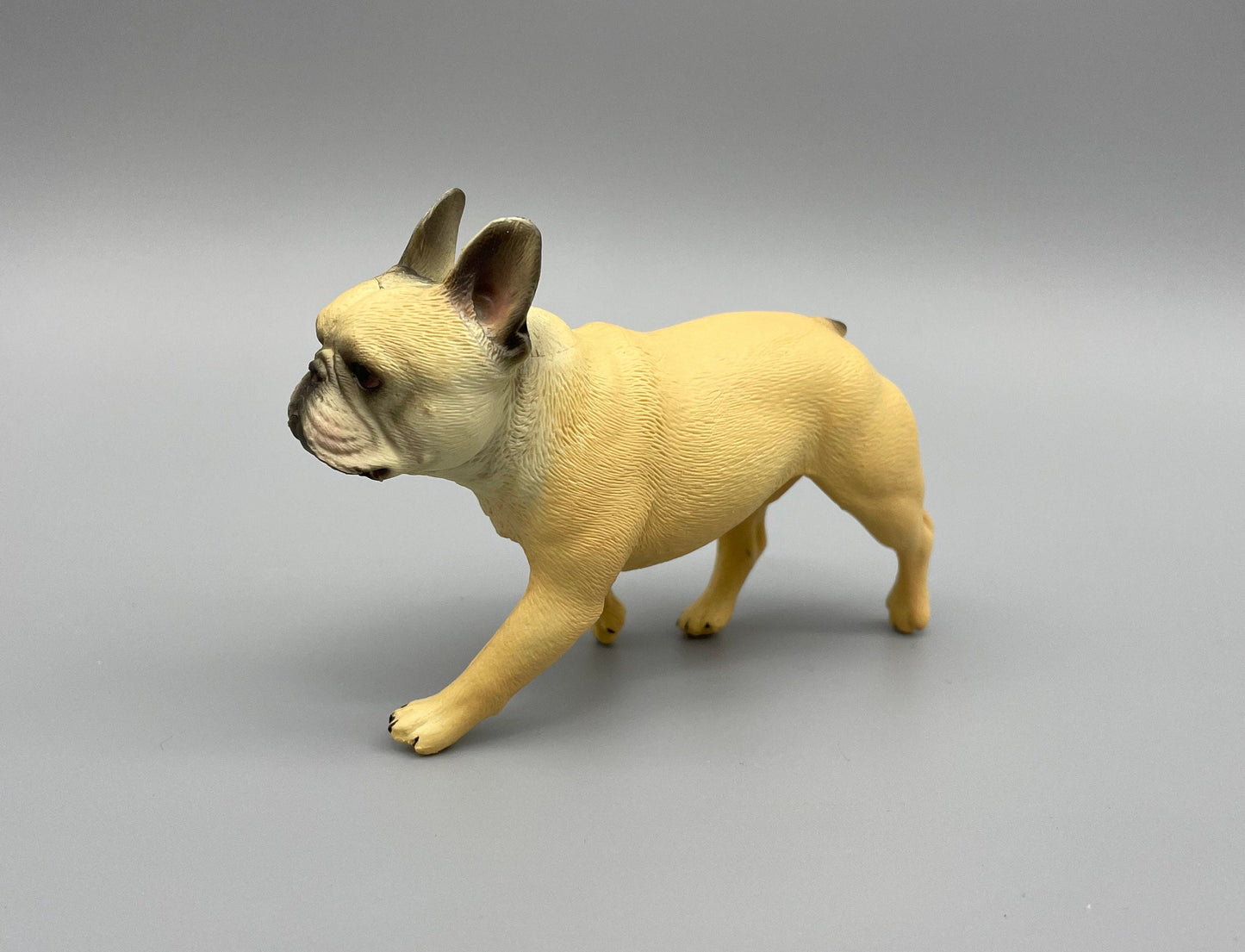 Realistic Miniature French Bulldog Model Side View 1:6 Scale