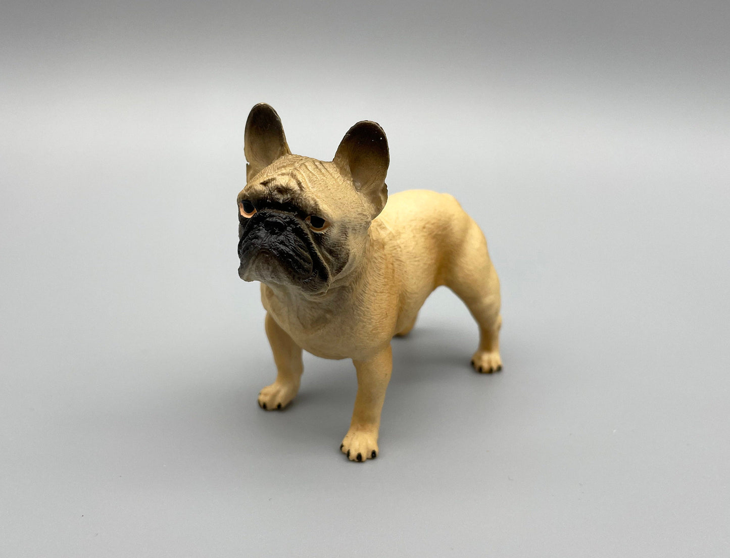Realistic French Bulldog Miniature Back View 1:6 Scale Model