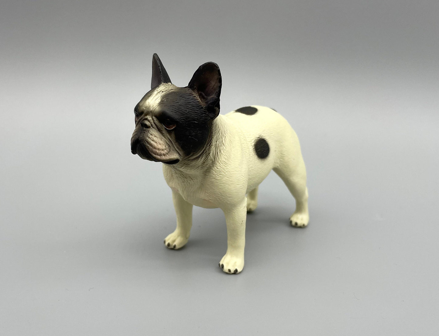 Miniature French Bulldog Detail Shot 1:6 Scale Realistic Model