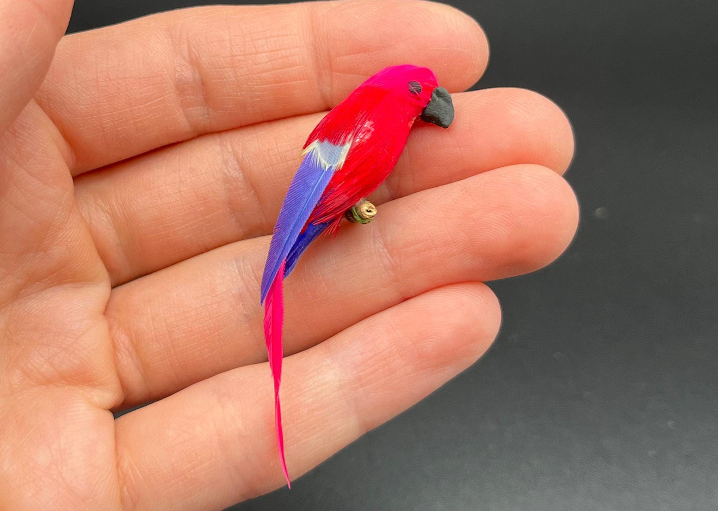 Miniature Fairy Garden Colorful Parrots Scale Comparison