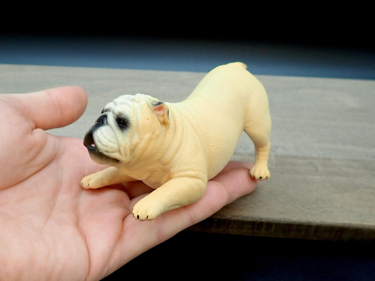 Miniature English Bulldog Models. Sleeping and Playing. 1:6 Scale Dog Miniatures