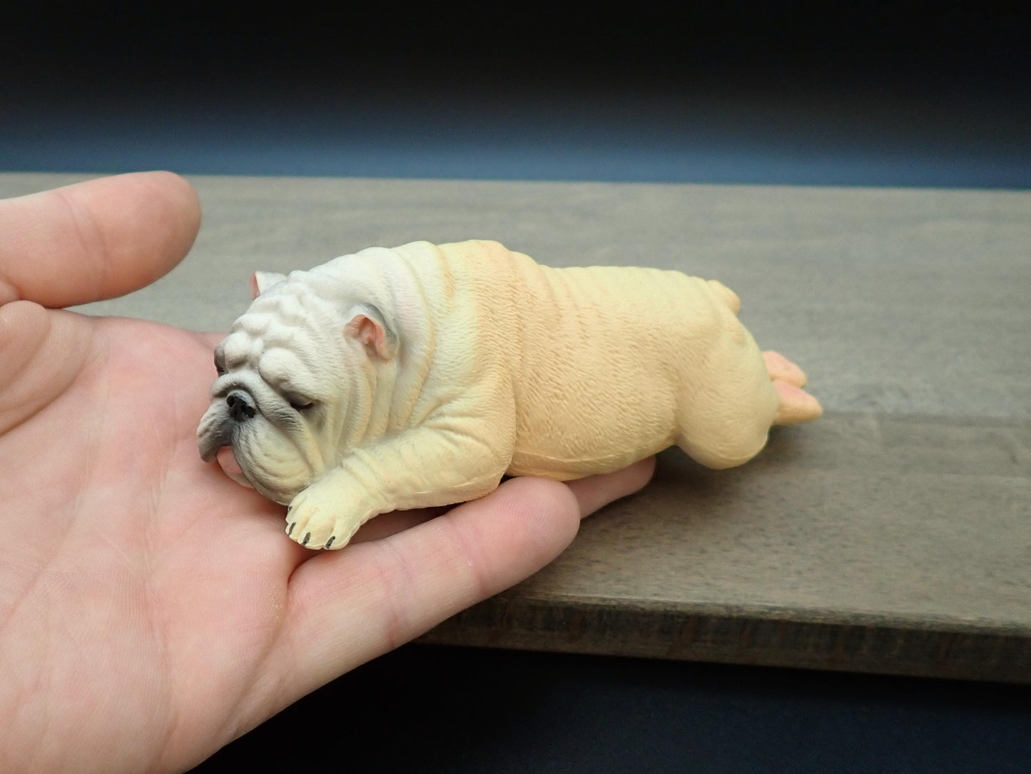 Miniature English Bulldog Models. Sleeping and Playing. 1:6 Scale Dog Miniatures