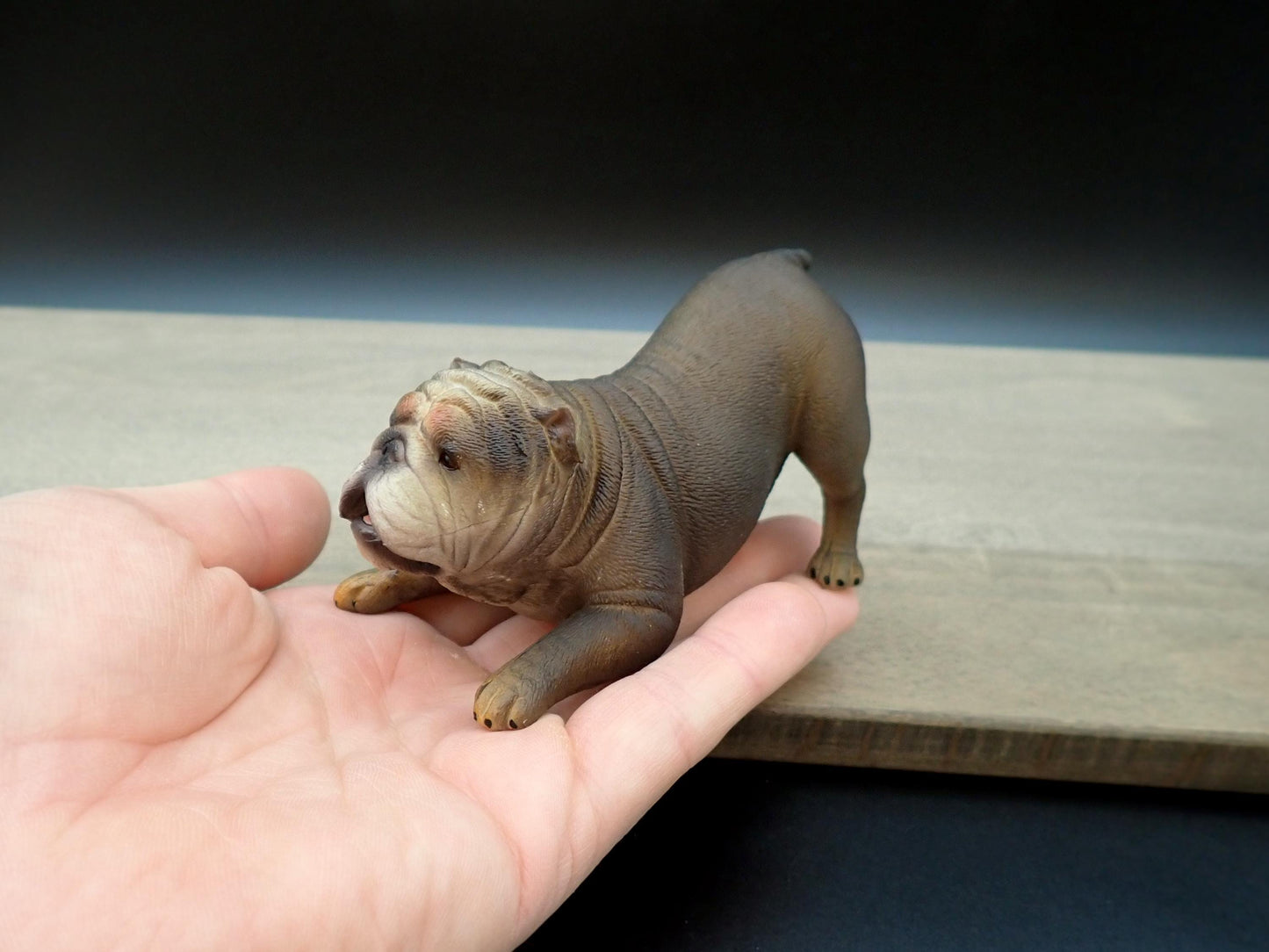 Miniature English Bulldog Models. Sleeping and Playing. 1:6 Scale Dog Miniatures