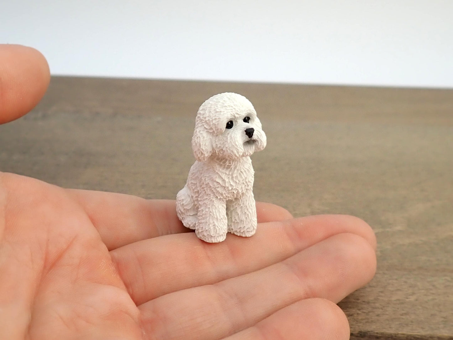 Miniature Poodle Dog Models. 1:6 Scale. Sat or Laying Down