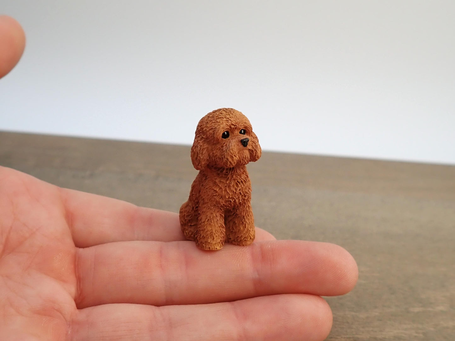Miniature Poodle Dog Models. 1:6 Scale. Sat or Laying Down