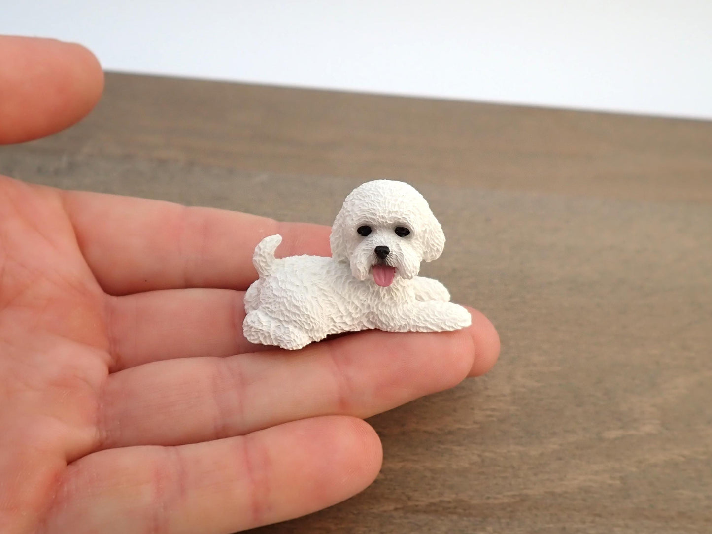 Miniature Poodle Dog Models. 1:6 Scale. Sat or Laying Down