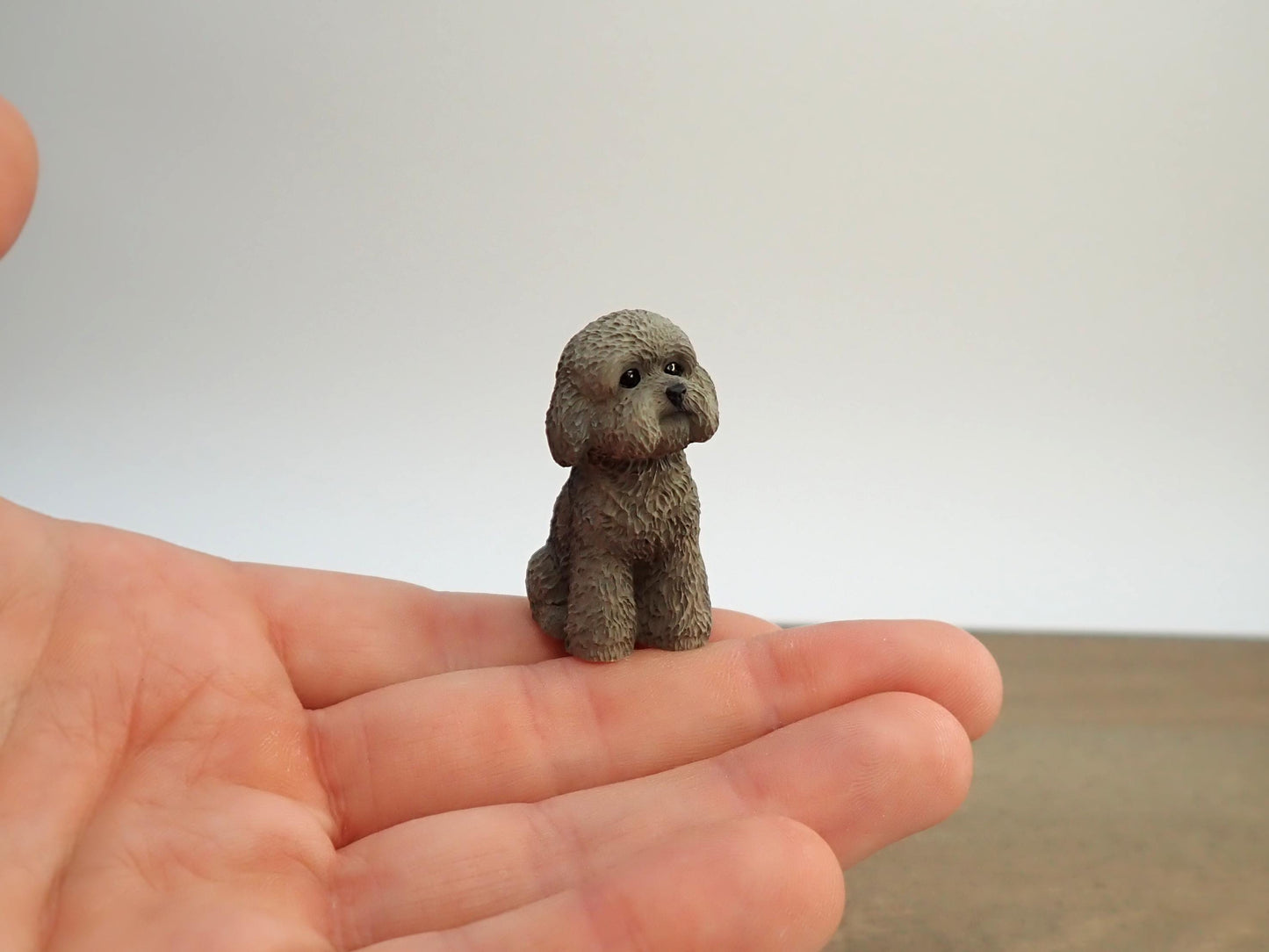 Miniature Poodle Dog Models. 1:6 Scale. Sat or Laying Down