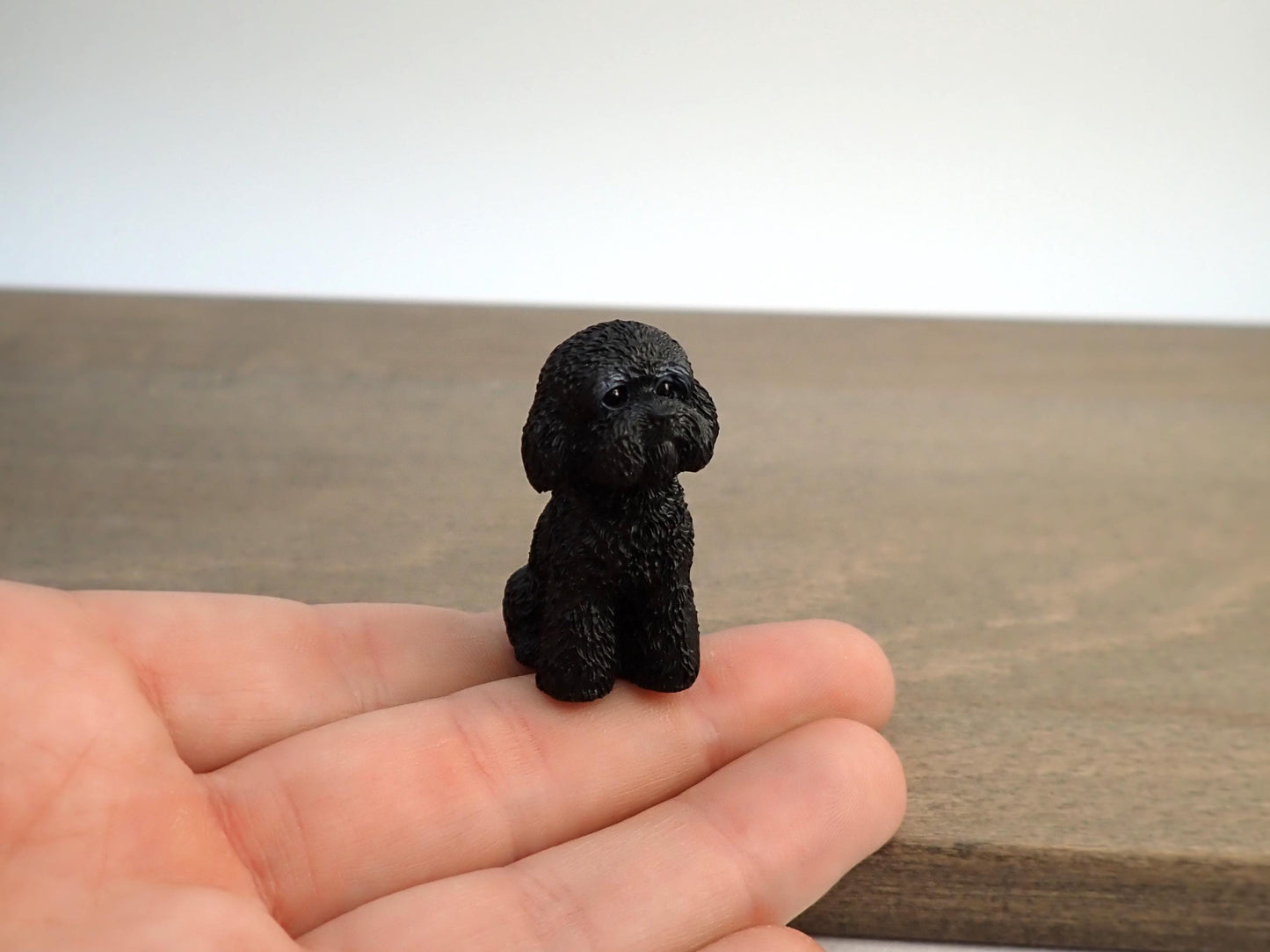 Miniature Poodle Dog Models. 1:6 Scale. Sat or Laying Down