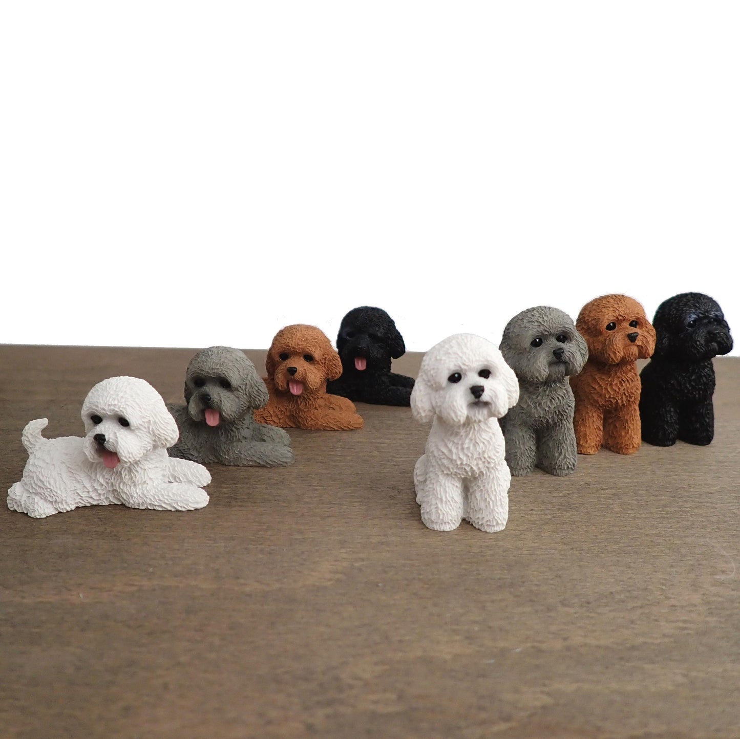Miniature Poodle Dog Models. 1:6 Scale. Sat or Laying Down