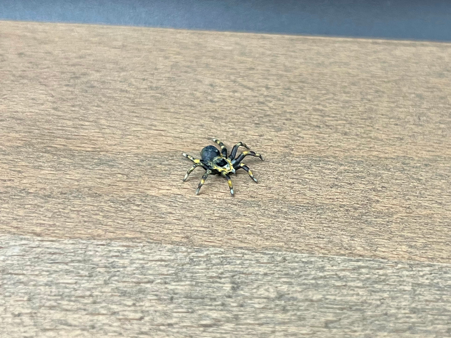 Tarantula Spider. Miniature 1:12 or 1/6 Scale. Miniature Realistic Plastic Creature