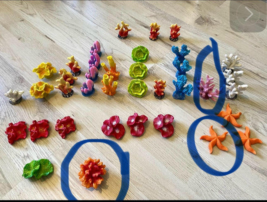 8 Pieces of Coral