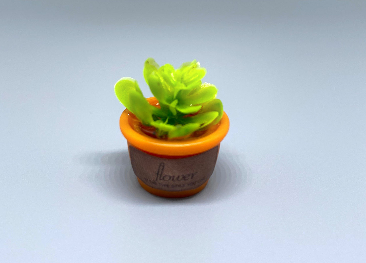Miniature Plants in Ceramic Pots. Cute Green Flowers and Leaves. Dollhouse Accessories 1:12 Scale