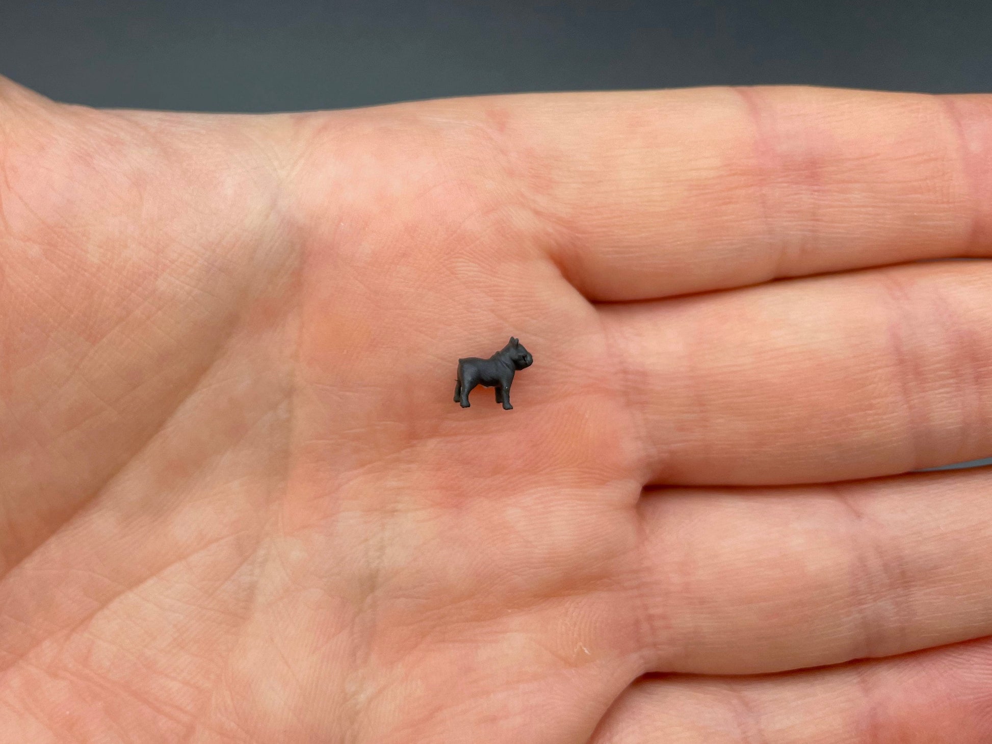 Miniature Bulldog Pit Bull Set 1:64 Scale Angle View
