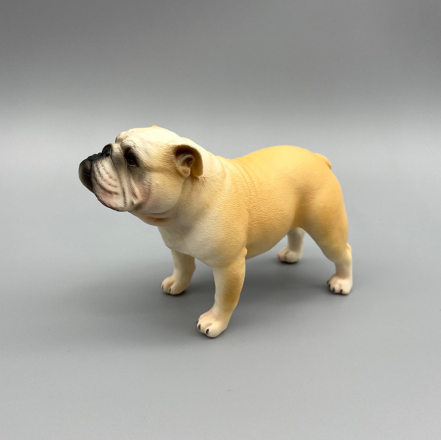 Miniature English Bulldog Models. 1:6 Scale Dog Figures