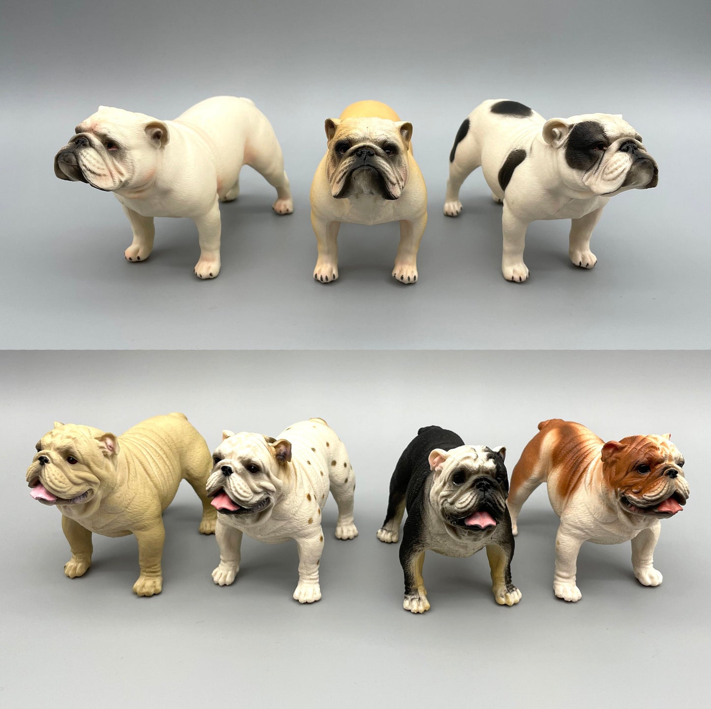 Miniature English Bulldog Models. 1:6 Scale Dog Figures