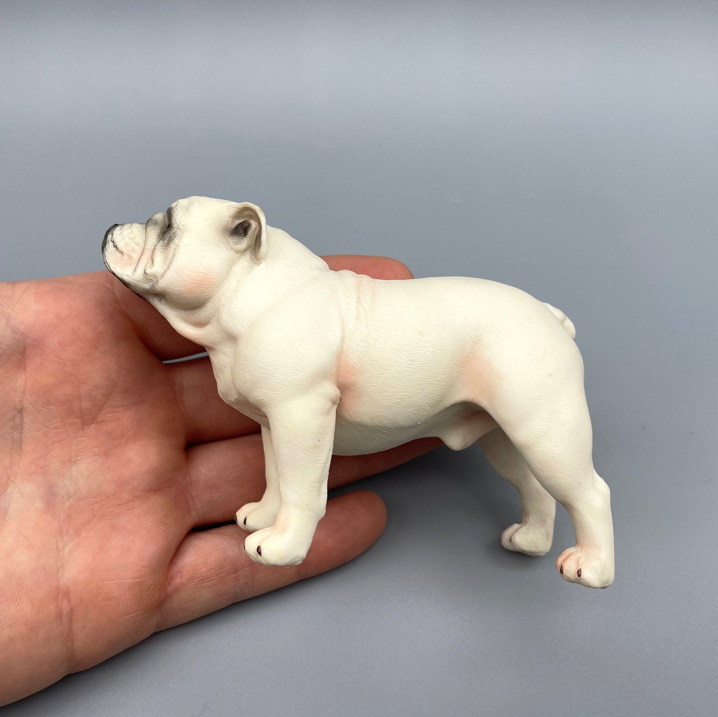 Miniature English Bulldog Models. 1:6 Scale Dog Figures