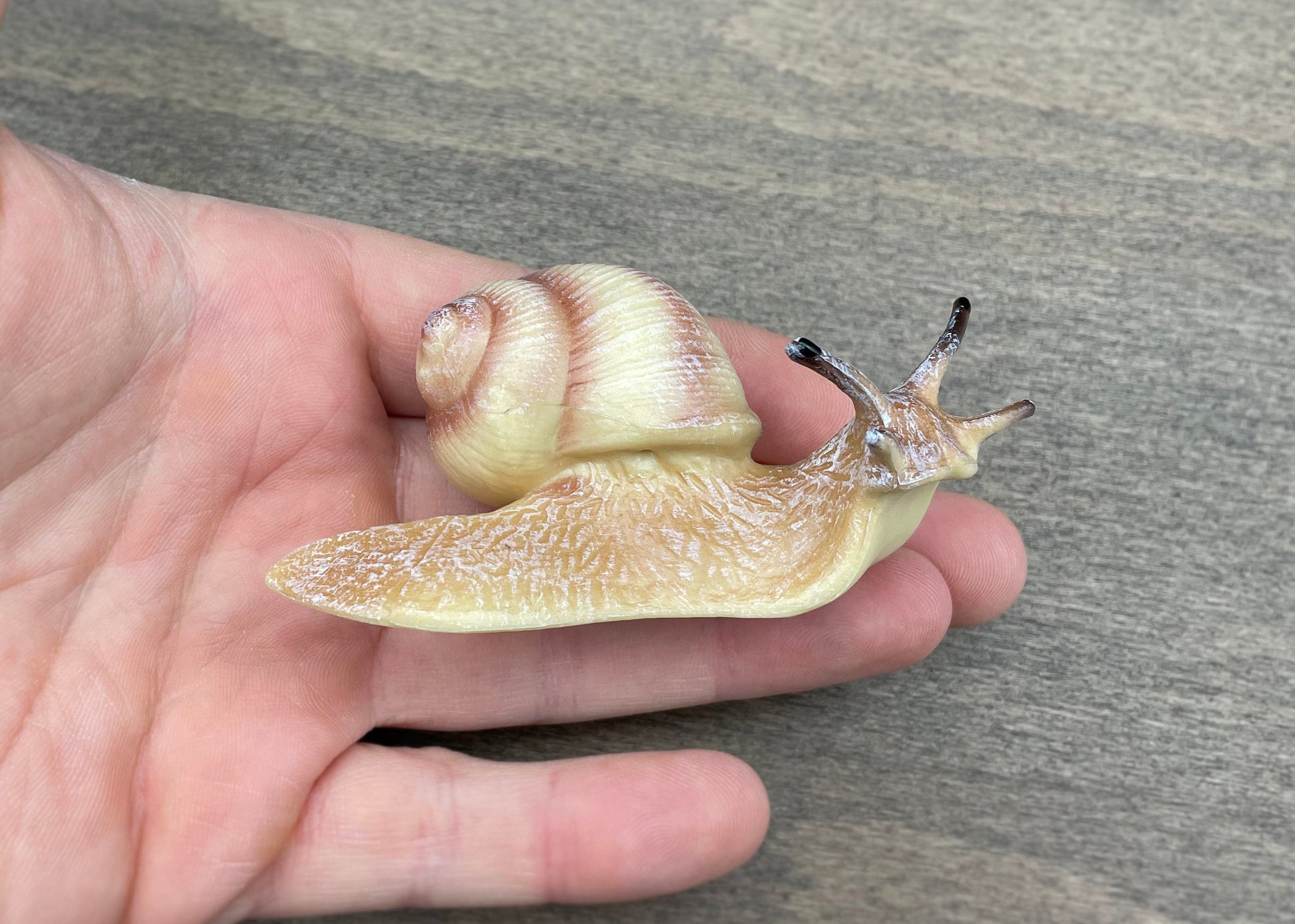 Garden and Burgundy Snail Models Lifelike Size Set