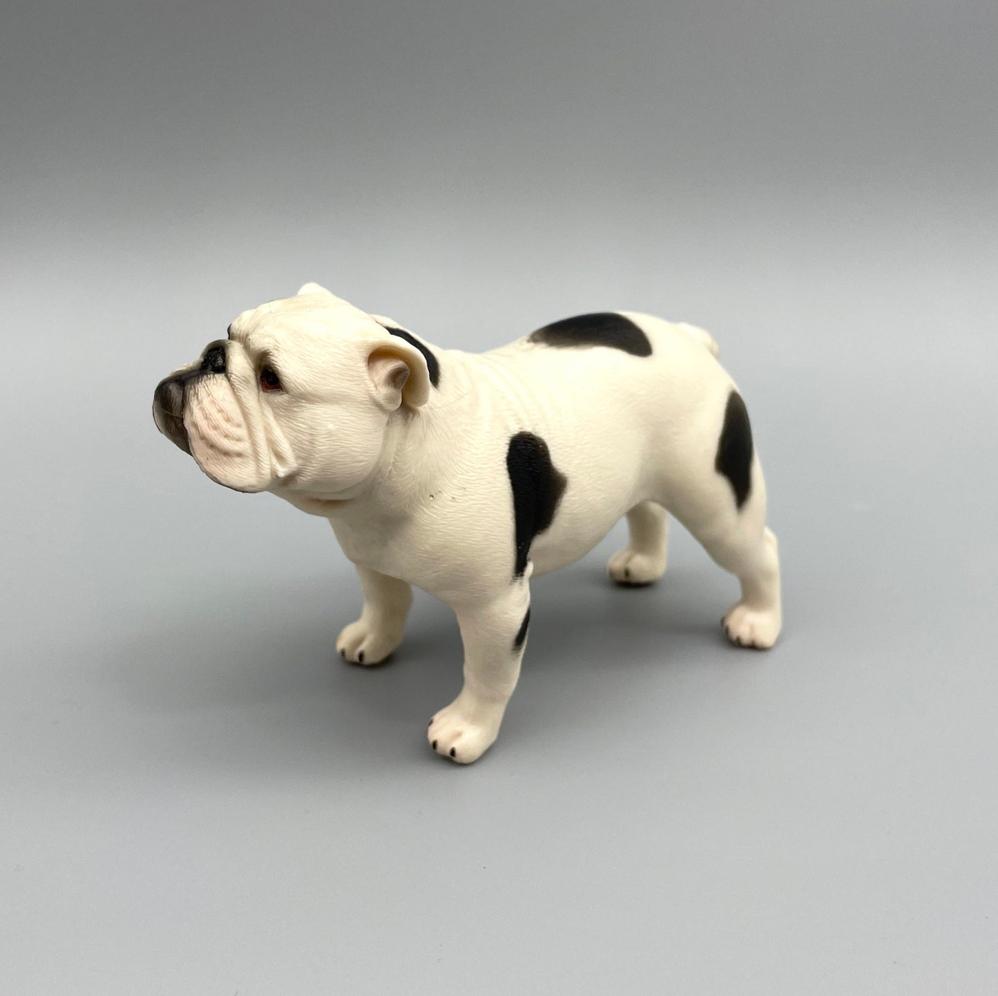 Miniature English Bulldog Models. 1:6 Scale Dog Figures