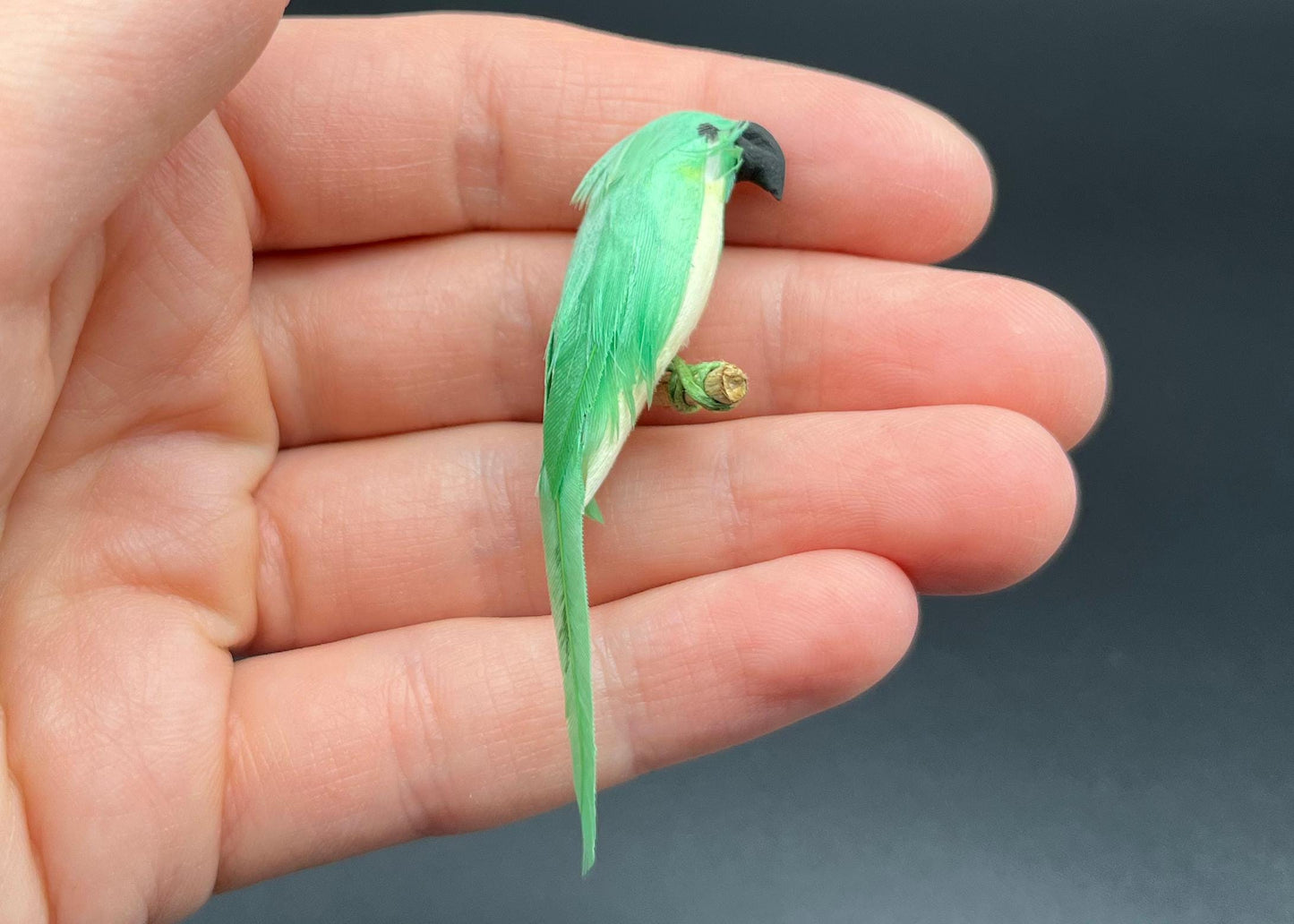 Miniature Birds. Fairy Garden Colorful Birds.